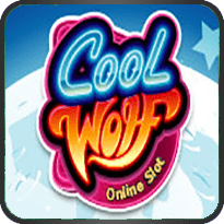 COOL WOLF