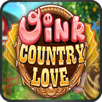 WINK COUNTRY LOVE
